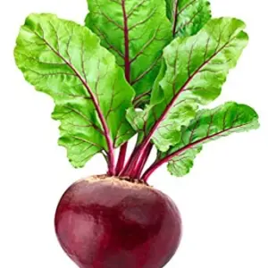 Beetroot Vegetable Seeds