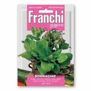 Borragine Vegetable seeds