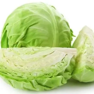 CABBAGE VEGETABLE SEEDS