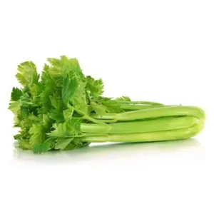 CELERY VEGETABLE SEEDS