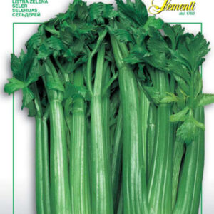 Celery Verde Pascal (124-6)