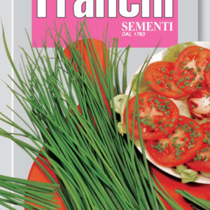 Chives - Erba cipollina