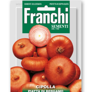 Cipolla piatta D. Bergamo Vegetable seeds