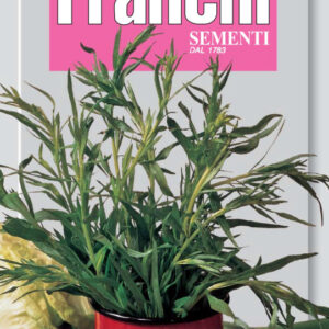 Dragoncello Vegetable Seeds