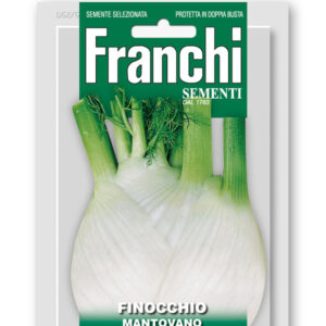 Finocchio R. Pancalieri Vegetable seeds