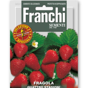 Frgola 4 Stagioni Vegetable Seeds