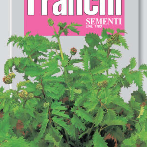 Garden Burnett - Piminella