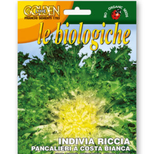 Indivia R. Pancalieri Vegetable Seeds