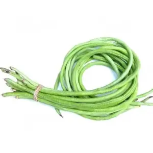 LONG BEANS VEGETABLE SEEDS