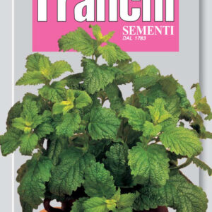 Lemon Balm - Melissa or Cedronella