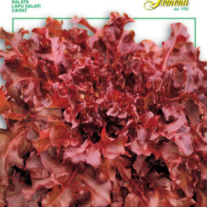 Lettuce Red Salad Bowl (78-25)