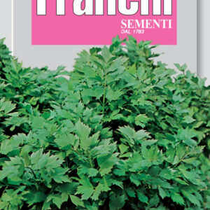 Lovage - Sedano di Monte