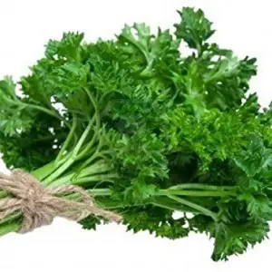 PARSELY VEGETABLE SEEDS