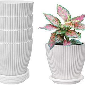 PLASITC POT WITH PLATE ROUND (PACK OF 5 PC)