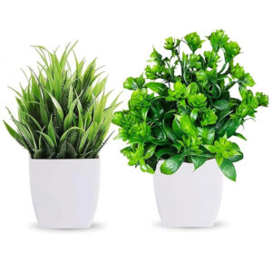 PLASTIC POT 2 INCH (PACK OF 2 PC)