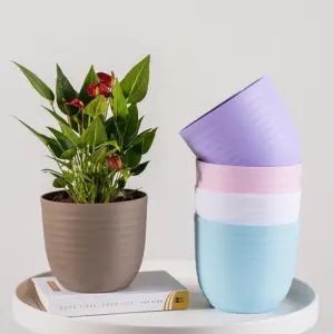 PLASTIC POT (COMBO) 5 INCH (PACK OF 5 PC)