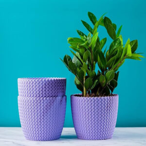 PLASTIC POT PURPLE 5 INCH (PACK OF 3 PC)
