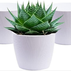 PLASTIC POT WHITE (PACK OF 3 PC)