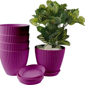 PLASTIC POT WITH TRAYS PURPLE 8 INCH (PACK OF 4 PC)
