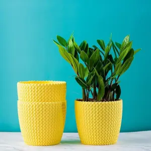 PLASTIC POT YELLOW 5 INCH (PACK OF 3 PC)