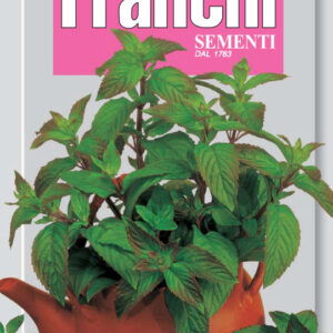 Peppermint - Menta piperita (Ideal for Indoor Gardening )