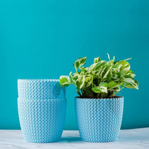 Plastic Pot Blue 5 Inch (Pack of 3 PC)