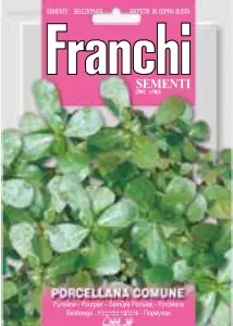Porcellana Comune - Purslane