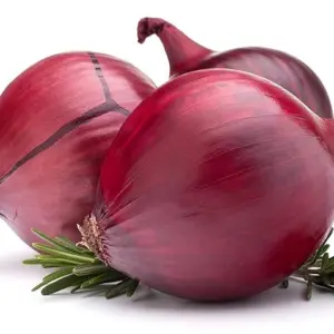 RED ONION VEGETABLE SEEDS
