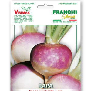 Rapa Tonda Collviola vegetable seeds