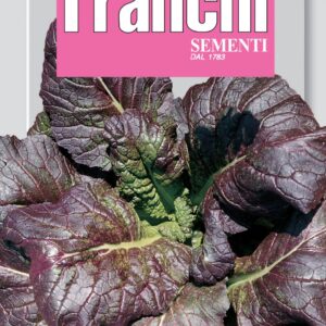 Red mustard - senape rossa