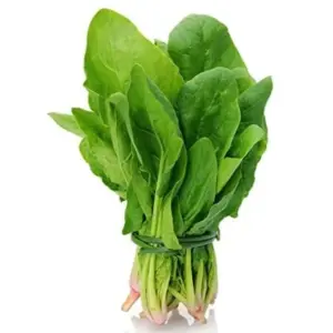 SPINACH VEGETABLE SEEDS