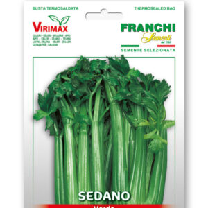Sedano Groene Pasal Vegetable seeds