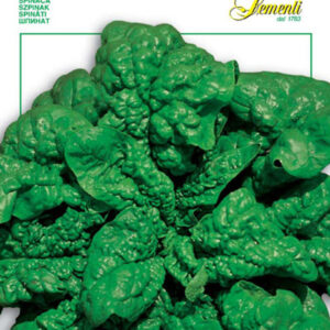 Spinach America (127-18)