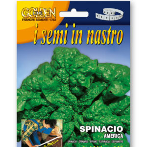 Spinacio America Vegetable seeds
