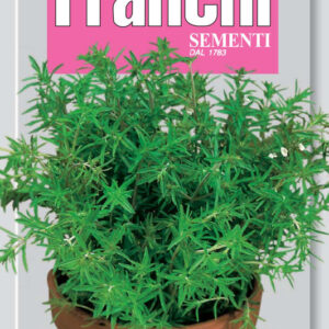 Summer savory - Santoreggia