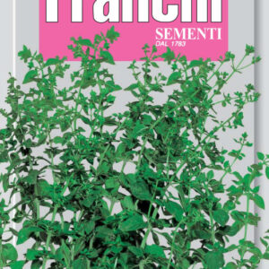 Sweet Marjoram - Maggiorana