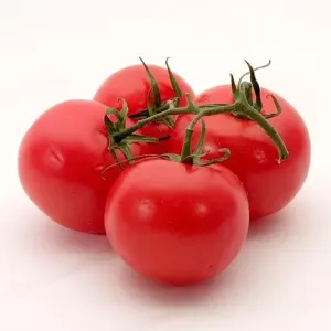 Tomato Vegetable Seeds