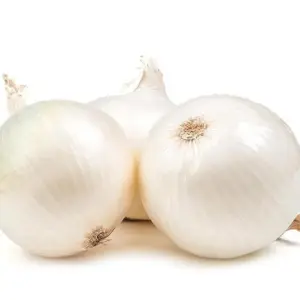 WHITE ONION VEGETABLE SEEDS