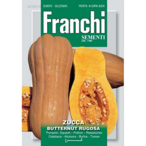 Zucca Butternut Rug. Vegetable Seeds