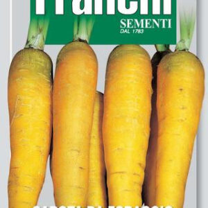 carota jaune du doubs vegetable seeds