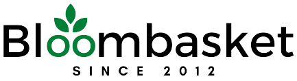 Bloom Basket